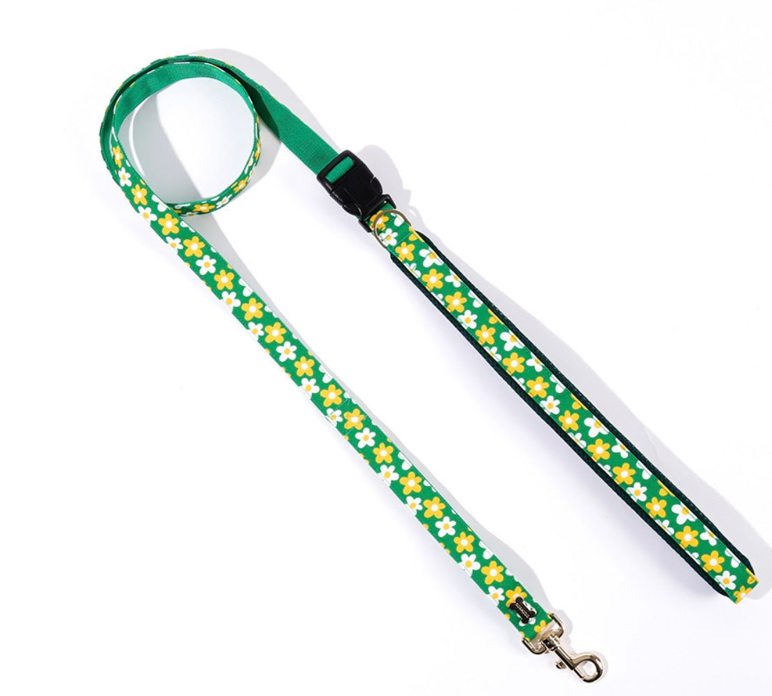 Picnic Belt Leash Up7kg(ピクニック ベルトリード７kg以上）