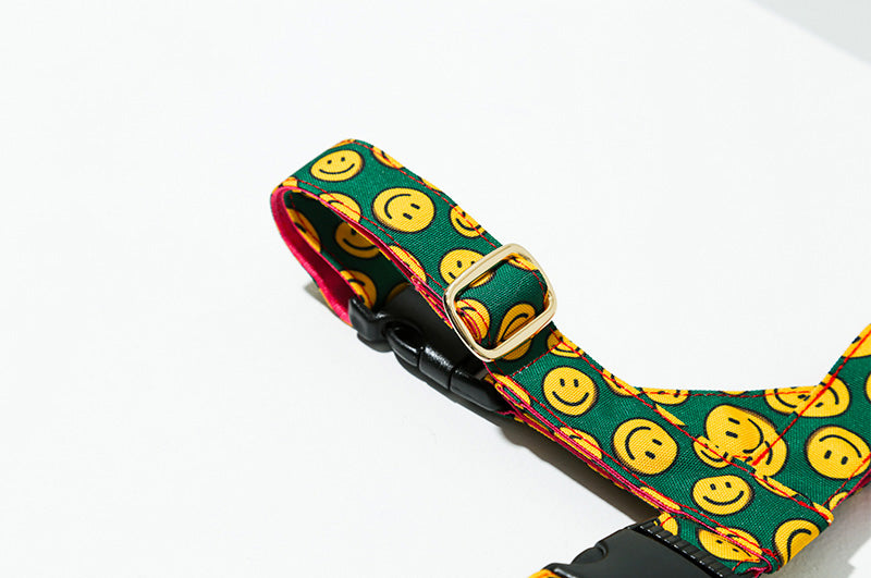 Charlie Smile Easy Harness(チャーリースマイル イージーハーネス)