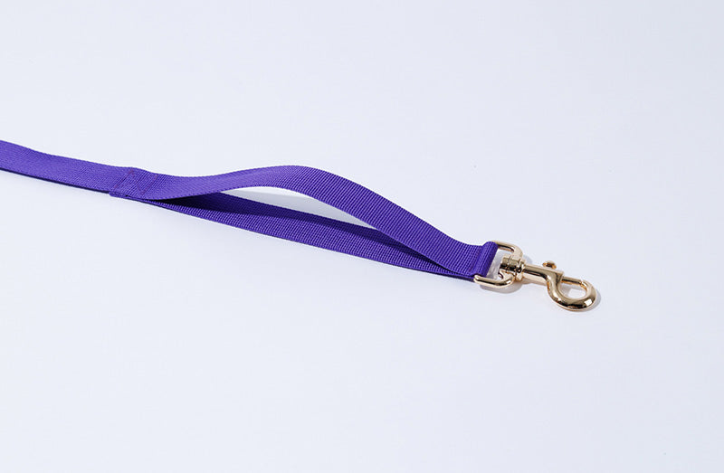 Mr.Clover Hand Leash Up7kg(ミスター.クローバー 手持ちリード7kg以上)