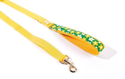 Picnic Hand Leash Up7kg(ピクニック 手持ちリード7kg以上)