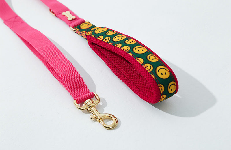Charlie Smile Hand Leash Up7kg(チャーリースマイル 手持ちリード7kg以上)