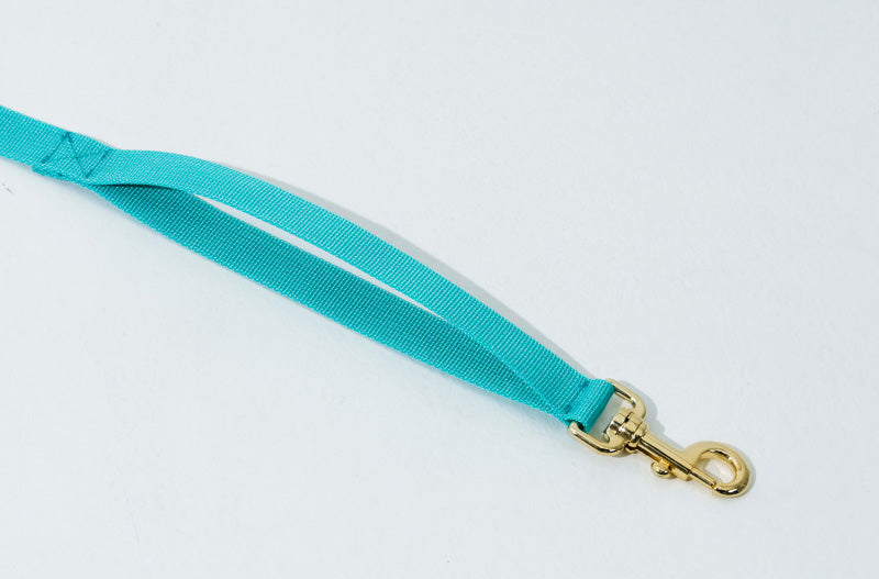 Charlie Smile Hand Leash Up7kg(チャーリースマイル 手持ちリード7kg以上)