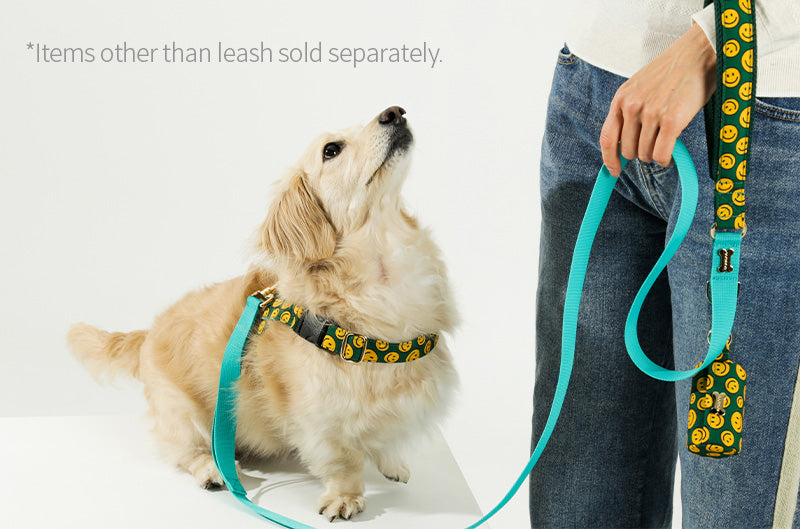 Charlie Smile Hand Leash Up7kg(チャーリースマイル 手持ちリード7kg以上)