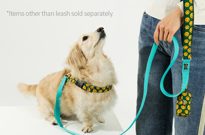 Charlie Smile Hand Leash Up7kg(チャーリースマイル 手持ちリード7kg以上)