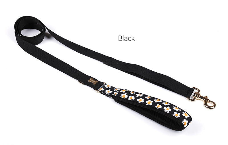 Daisy Hand Leash Up7kg(デイジー 手持ちリード7kg以上)