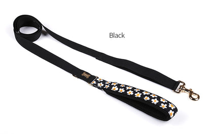 Daisy Hand Leash Up7kg(デイジー 手持ちリード7kg以上)