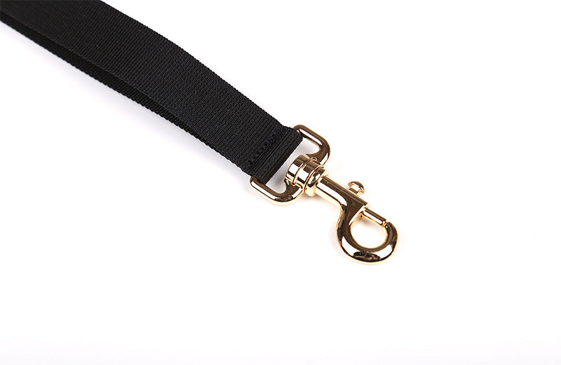 Daisy Hand Leash Up7kg(デイジー 手持ちリード7kg以上)