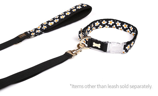 Daisy Hand Leash Up7kg(デイジー 手持ちリード7kg以上)