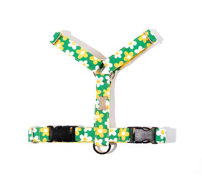Picnic H Harness(ピクニック エイチハーネス）