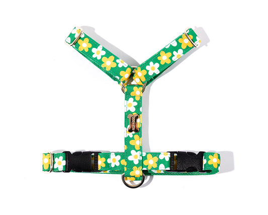 Picnic H Harness(ピクニック エイチハーネス)
