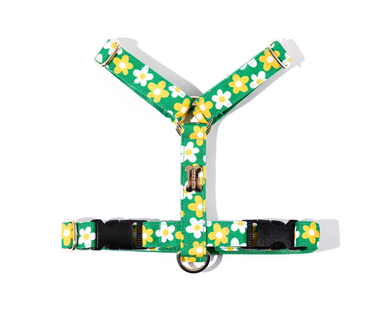 Picnic H Harness(ピクニック エイチハーネス）