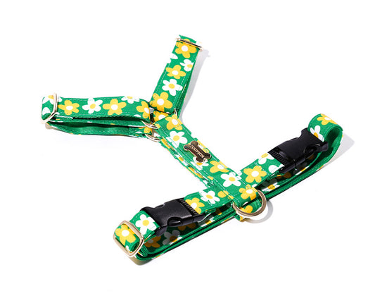 Picnic H Harness(ピクニック エイチハーネス）