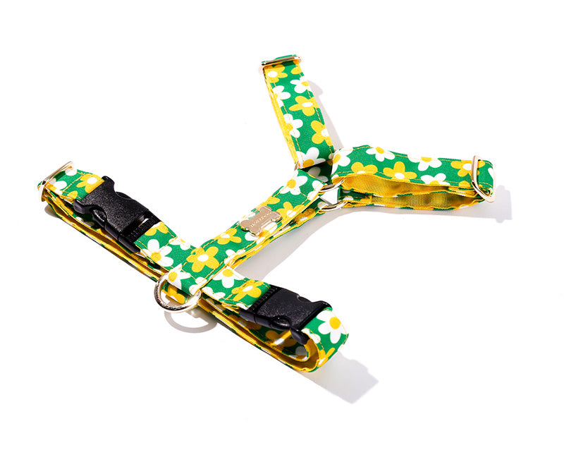 Picnic H Harness(ピクニック エイチハーネス）