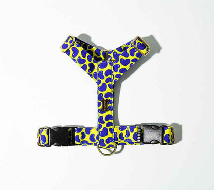 Pier39H Harness(ピア39 エイチハーネス）