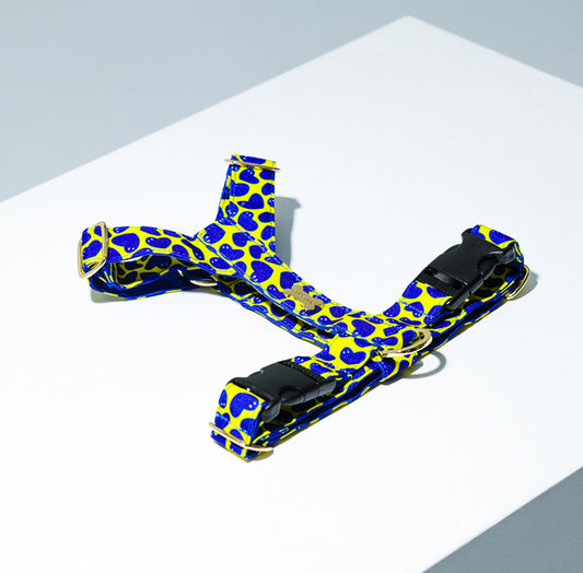 Pier39H Harness(ピア39 エイチハーネス）