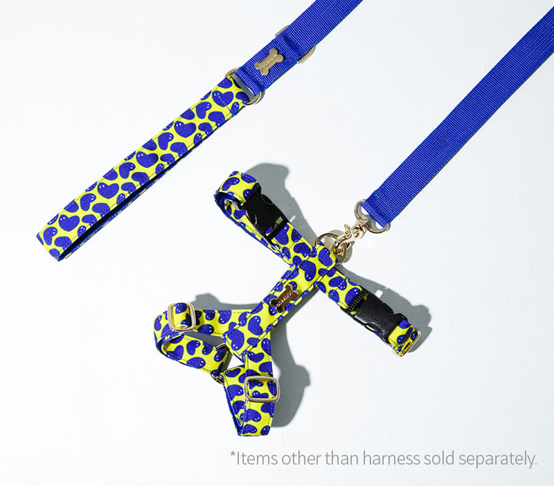 Pier39H Harness(ピア39 エイチハーネス）