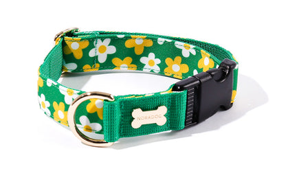 Picnic Collar(ピクニック 首輪）