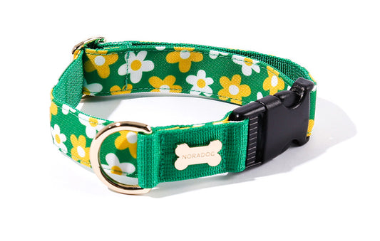 Picnic Collar(ピクニック 首輪）