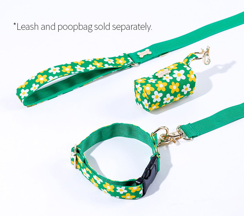 Picnic Hand Leash Up7kg(ピクニック 手持ちリード7kg以上)