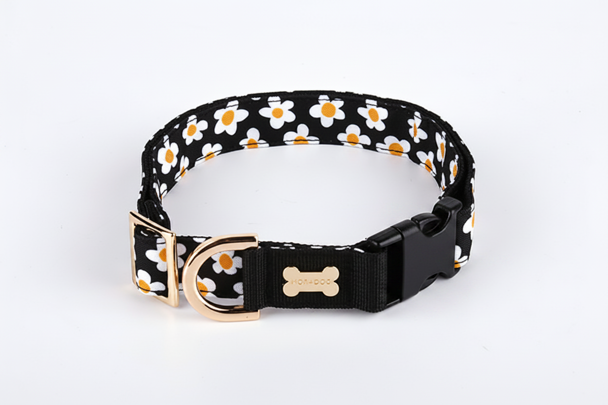 Daisy Collar（デイジー 首輪）