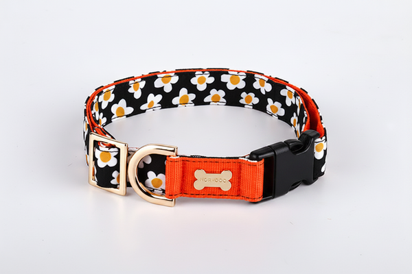 Daisy Collar（デイジー 首輪）