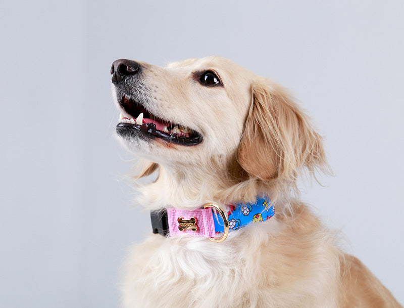 Kitsch Kitsch Collar(キッチュキッチュ 首輪）