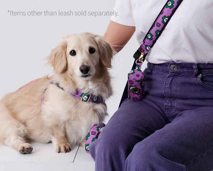Mr.Clover Belt Leash Up7kg(ミスター.クローバー ベルトリード７kg以上）