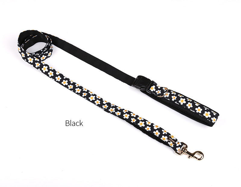 Daisy Belt Leash Up7kg(デイジー ベルトリード７kg以上）