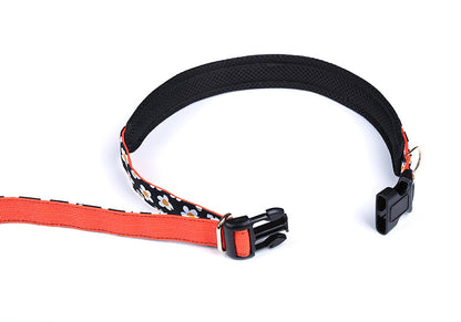 Daisy Belt Leash Up7kg(デイジー ベルトリード７kg以上）