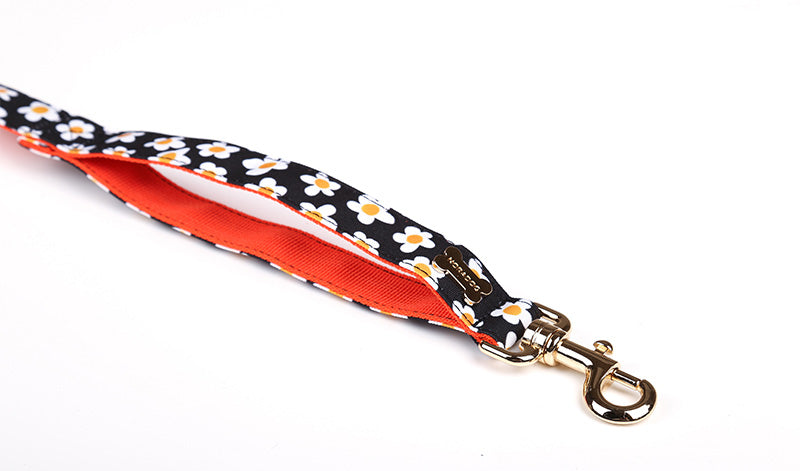 Daisy Belt Leash Up7kg(デイジー ベルトリード７kg以上）