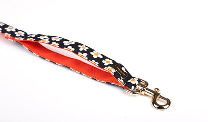Daisy Belt Leash Up7kg(デイジー ベルトリード７kg以上）