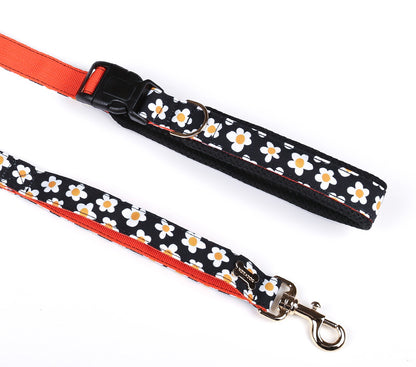 Daisy Belt Leash Up7kg(デイジー ベルトリード７kg以上）