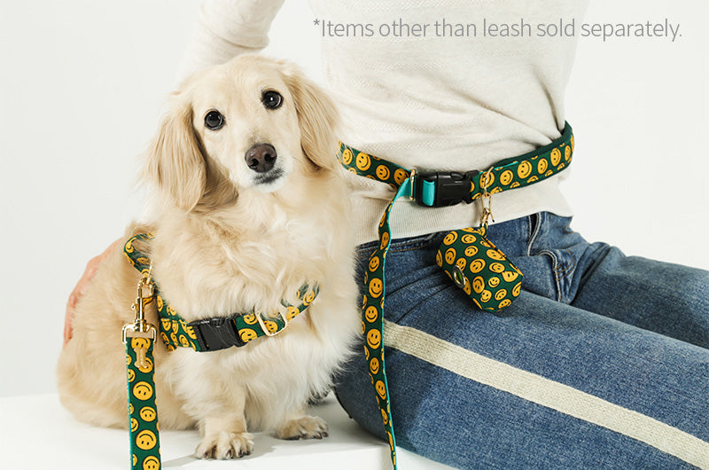 Charlie Smile Belt Leash Up7kg(チャーリースマイル ベルトリード７kg以上）