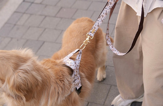 Teddy C Belt Leash Up7kg(ベルトリード7kg以上)