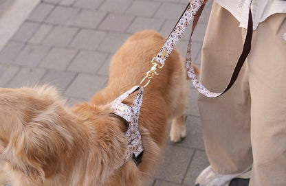 Teddy C Belt Leash Up7kg(ベルトリード７kg以上）