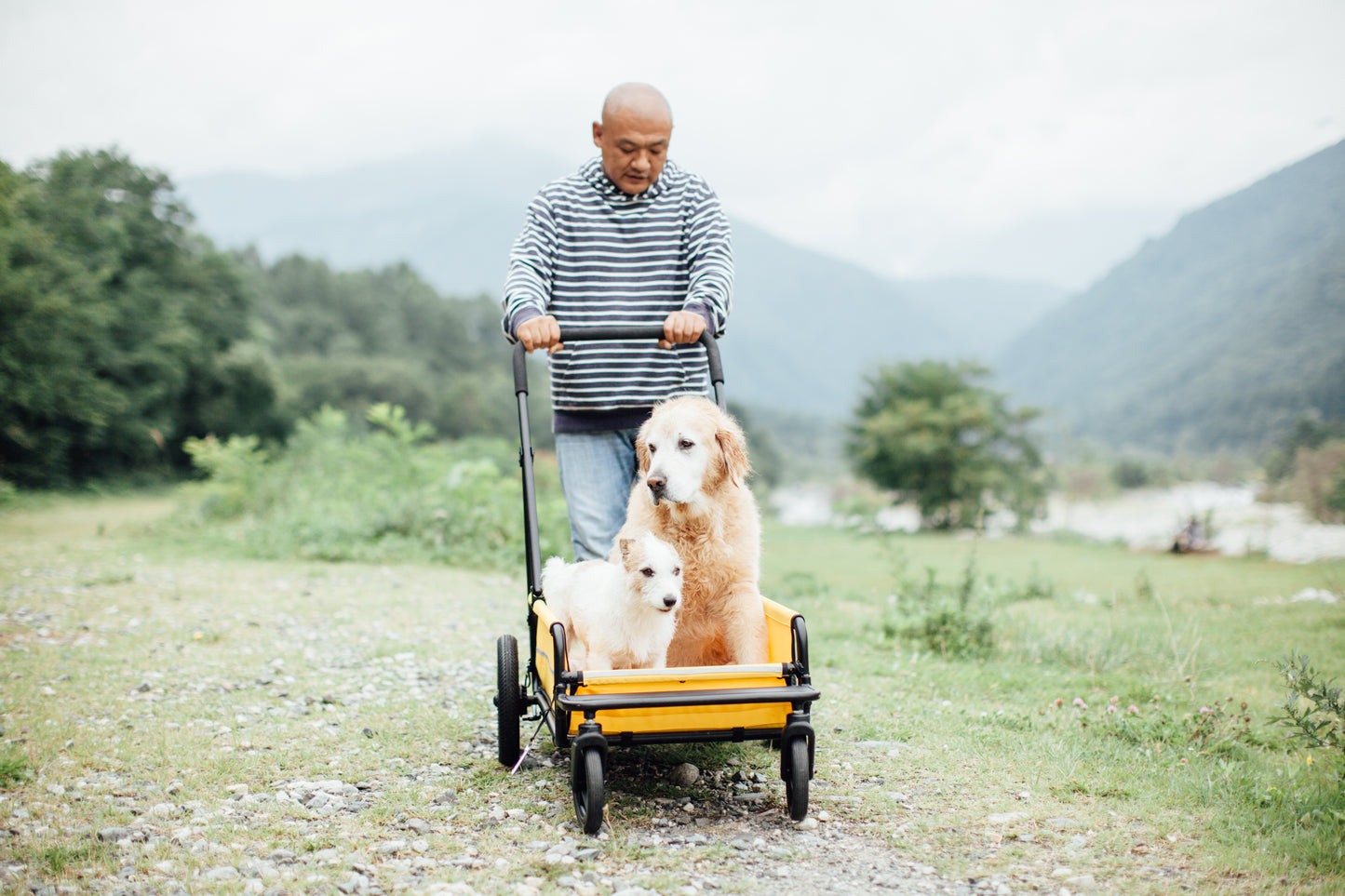 《本体のみ》CARRIAGE 本体
