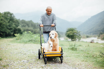 《本体のみ》CARRIAGE 本体