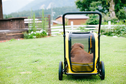 《セット品》CARRIAGE 本体＋ルーフセットセット