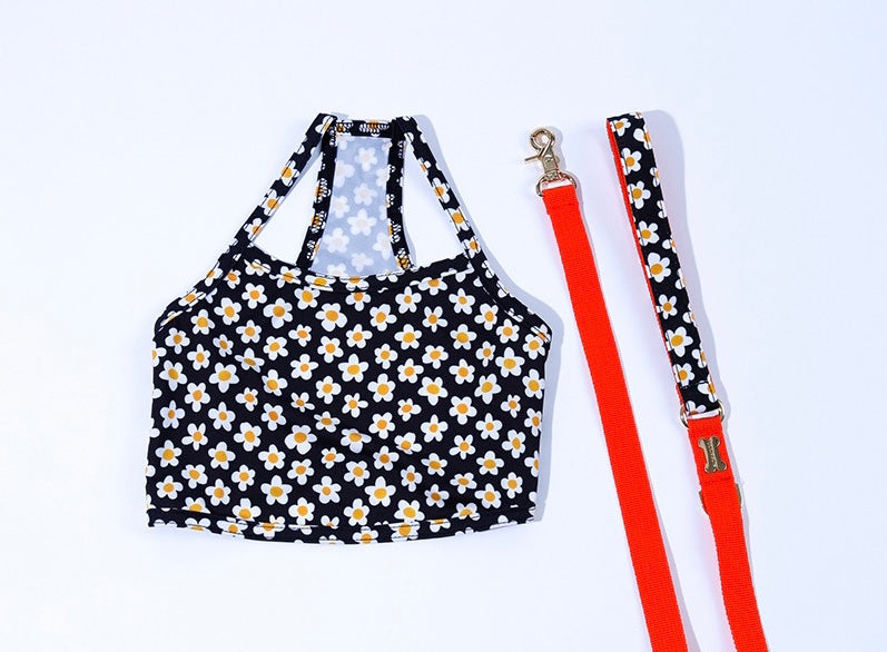 Daisy Cool Wear(デイジークールウェア）