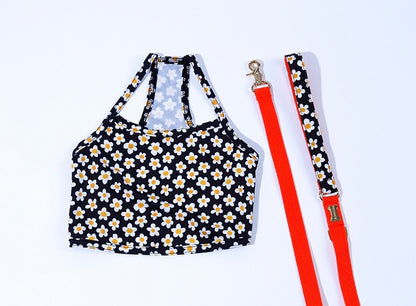 Daisy Cool Wear(デイジークールウェア）