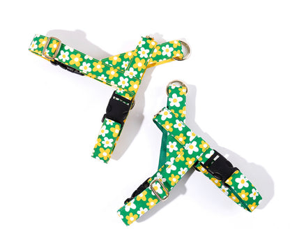 Picnic Easy Harness(ピクニック イージーハーネス)