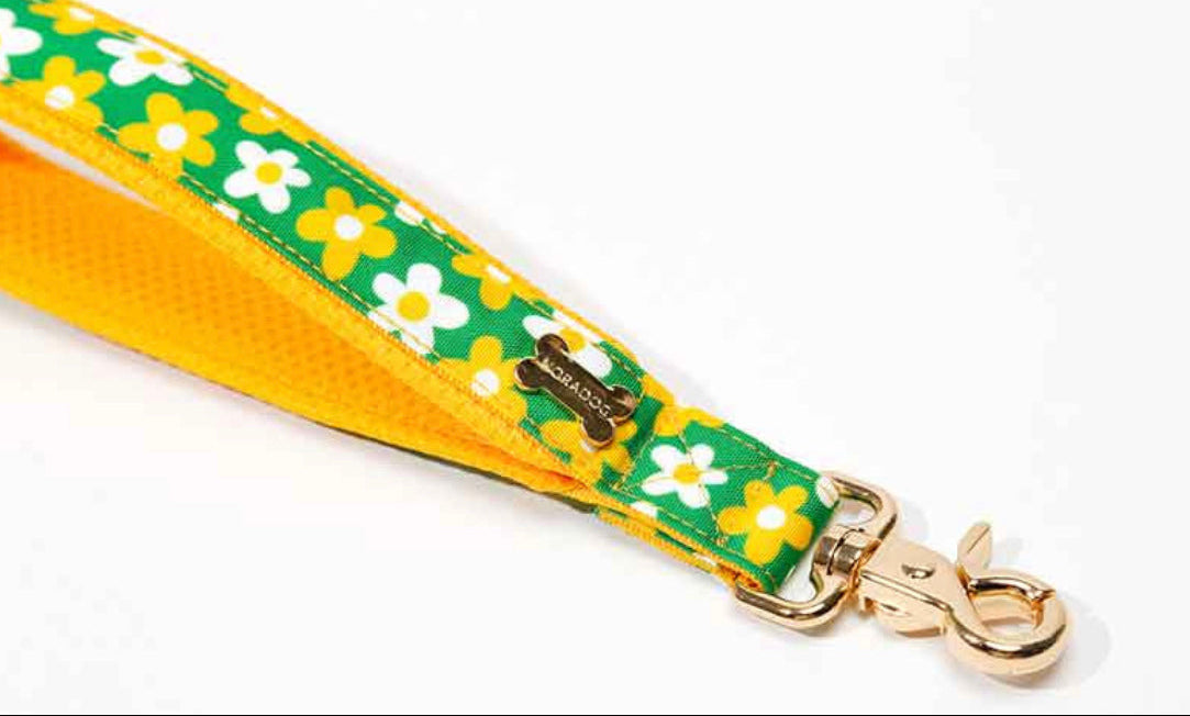 Picnic Short Leash(ピクニック ショートリード）