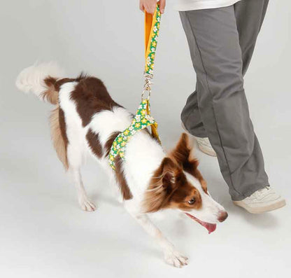 Picnic Short Leash(ピクニック ショートリード）