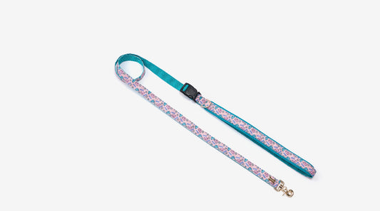 HARU Belt Leash Up7kg(ハル ベルトリード７kg以上）