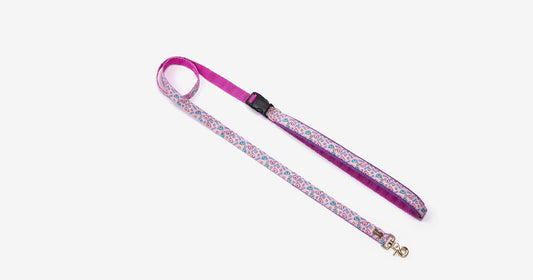 HARU Belt Leash Up7kg(ハル ベルトリード７kg以上）