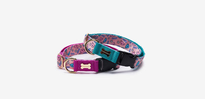 HARU Collar(ハル 首輪）