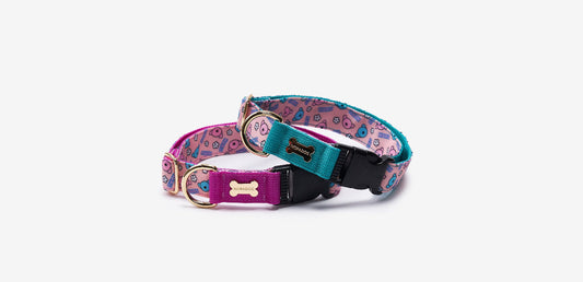 HARU Collar(ハル 首輪）