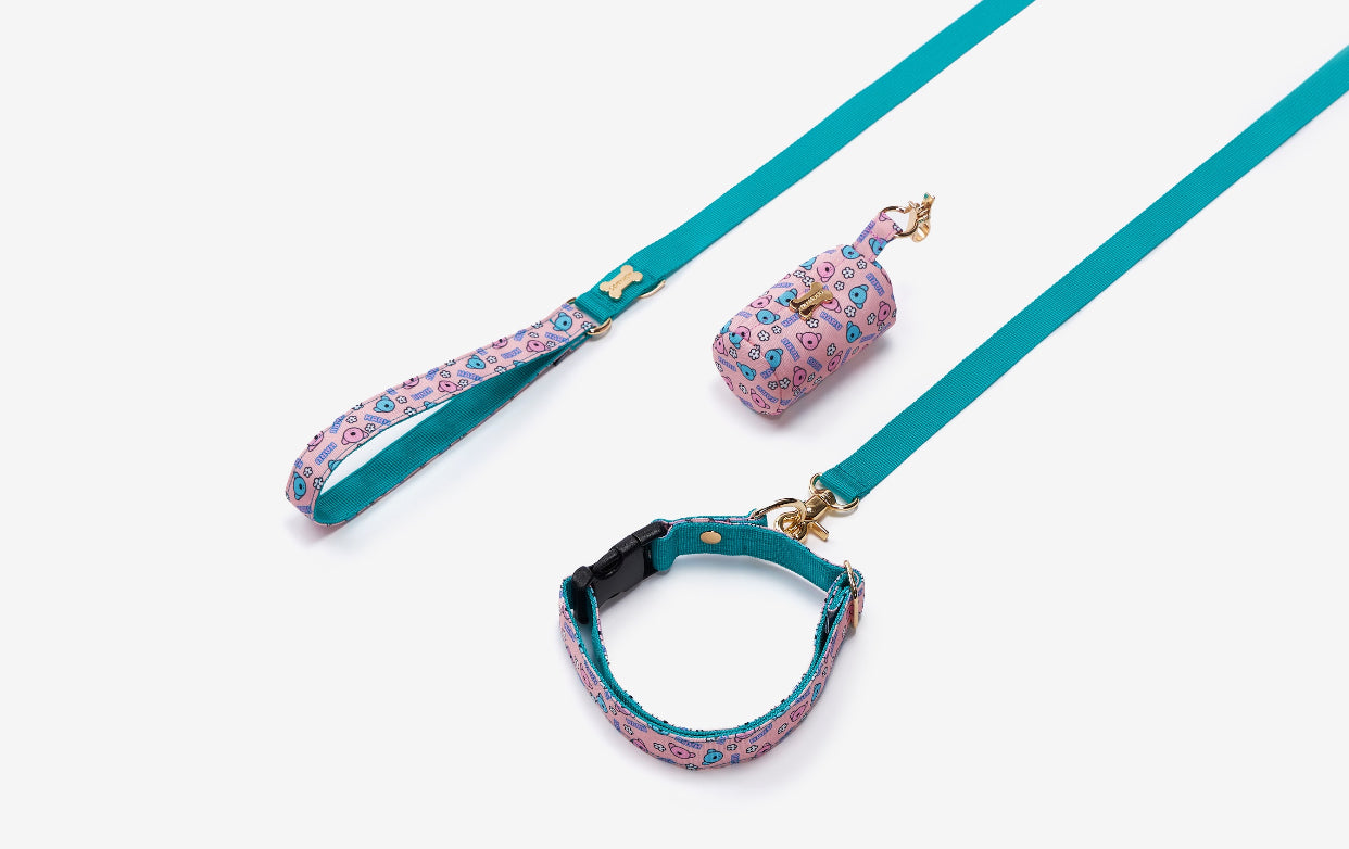 HARU Collar(ハル 首輪）