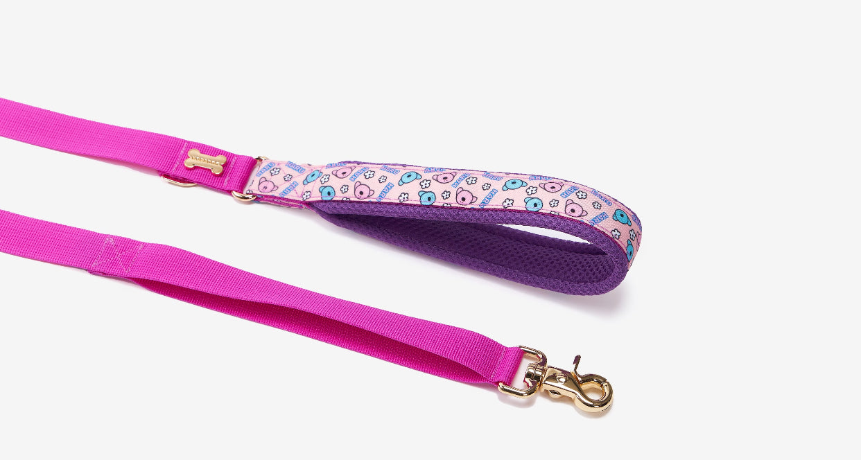 HARU Hand Leash Up7kg(ハル 手持ちリード7kg以上)
