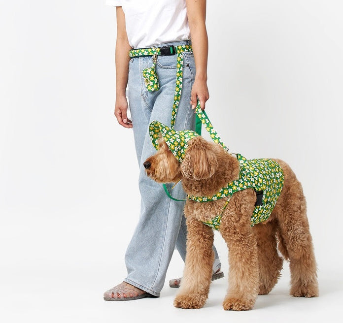 Daisy Cool Wear(デイジークールウェア）